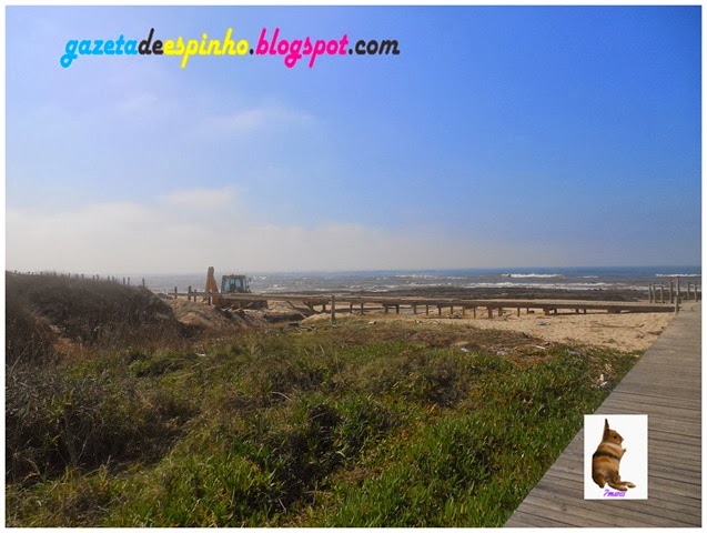 [O%2520desenvolvimento%2520das%2520Ruas%2520de%2520Espinho002Gazeta%2520de%2520Espinho%255B3%255D.jpg]