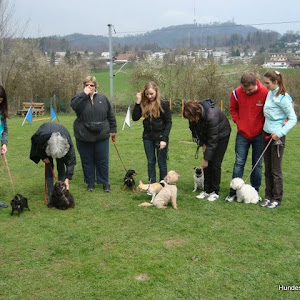 little dog Training April 2010
