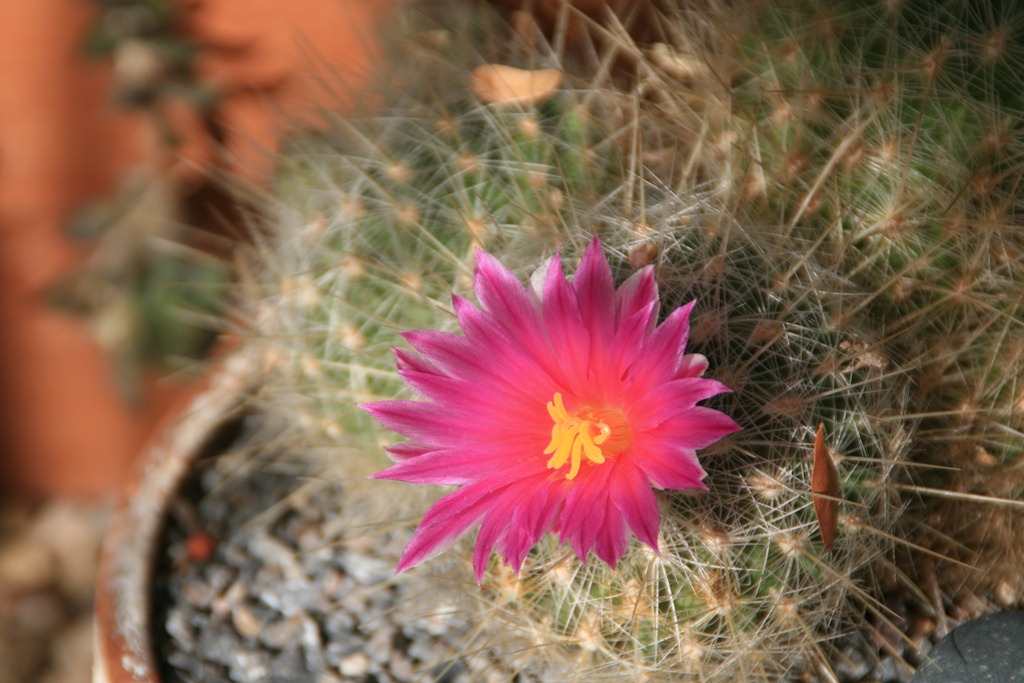 [IMG_6572%255B4%255D.jpg]