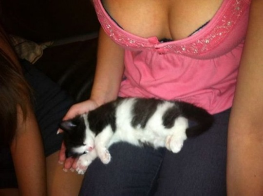 [viral-picdump-pics-08109f%255B2%255D.jpg]