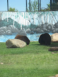 IMG_7434.JPG