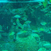 img_033.jpg