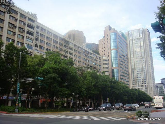 7807757963.jpg