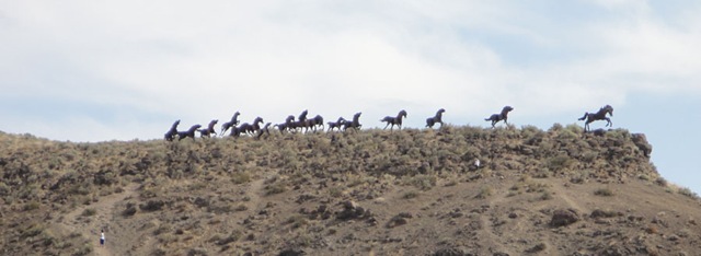 [RT02WildHorse015.jpg]