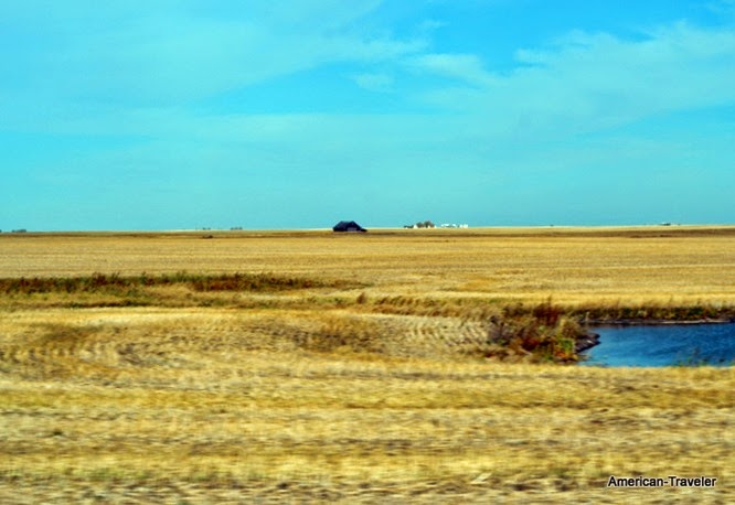 DSC_0480 DSC_0480