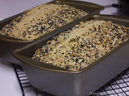 [seven-grain-bread%2520022.jpg]
