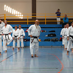 H25D2950.JPG