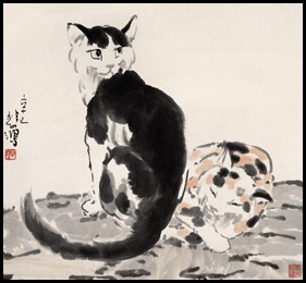 cat_Image1 cat_Image1