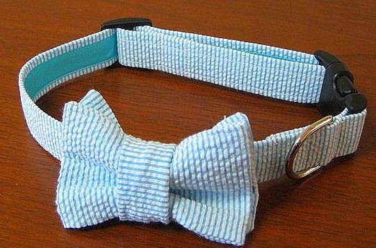 [Seer%2520sucker%2520collar%255B7%255D.jpg]