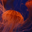 Los Angeles 053.JPG