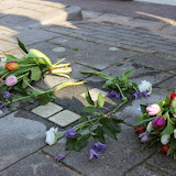 IMG_4525.jpg