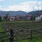 img160.jpg