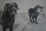 Nina & Tess - 40 x 60 cm - potlood op papier (opdracht)