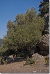 Rocas de la cueva91