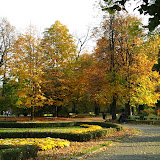 2008-10-20 Jesienne Parki
