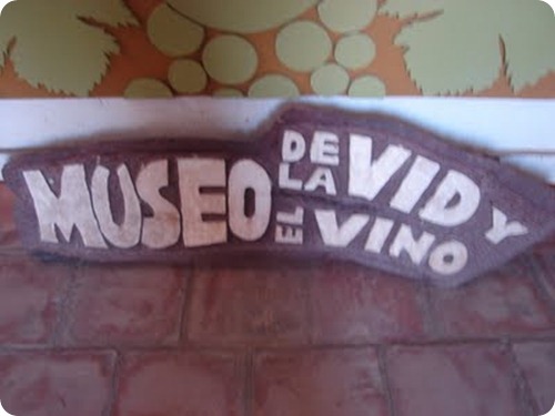 museo del vino cafayate11