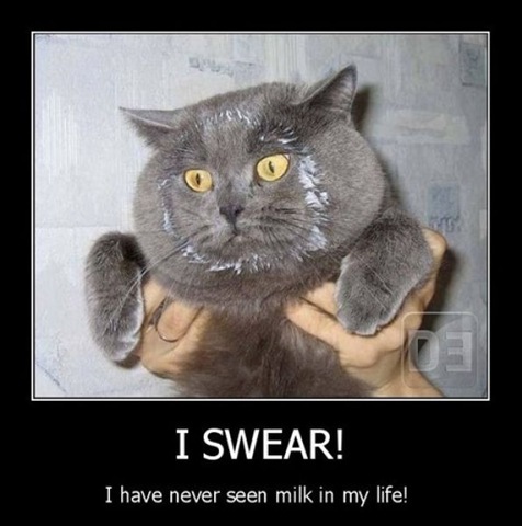 [demotivation-weekend-16%255B2%255D.jpg]