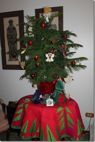 IMG_2257 IMG_2257