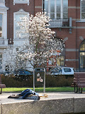 IMG_0329.jpg