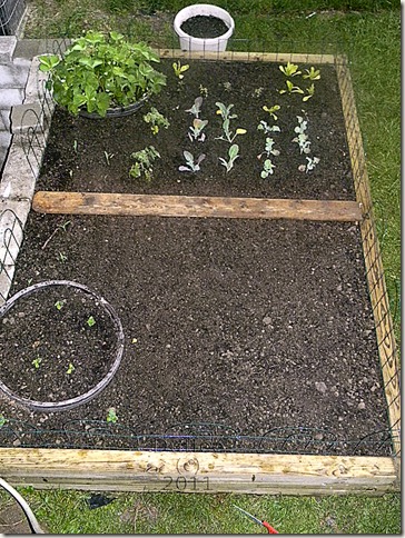 Aerial View of Garden