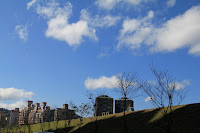 IMG_4389.JPG Photo