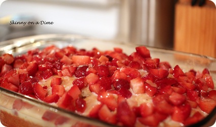 strawberry bits strawberry bits