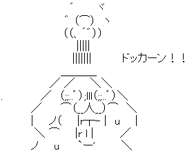 ネトウヨ （２０１２年流行語）