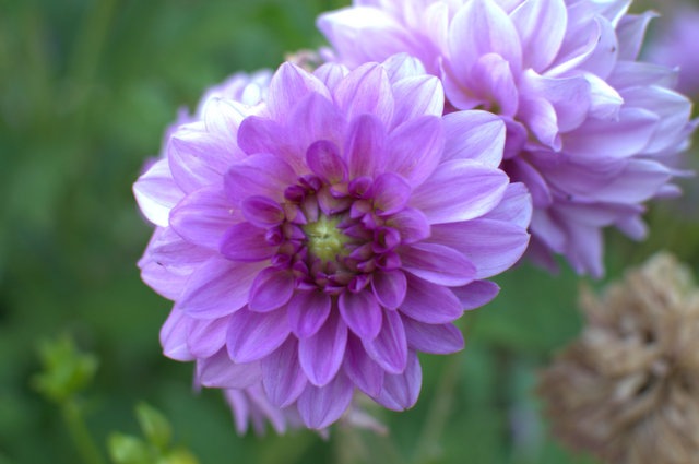 [DSC_0002%255B9%255D.jpg]