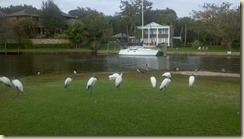 2013-01-08_14-36-49_369 2013-01-08_14-36-49_369