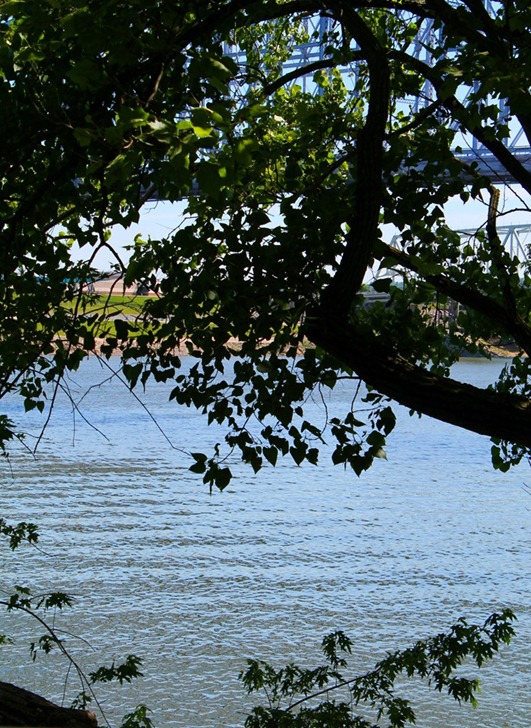 IMG_2186 IMG_2186