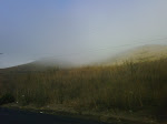IMG00501-20091010-0906.jpg