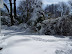 Snowpocalypse 2010