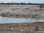 Etosha Nationalpark