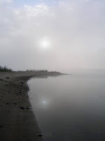 deltolet-07.jpg
