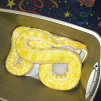 Critter Show 8/26/2011