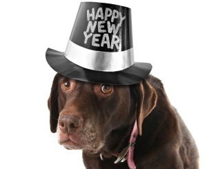 [newyearsdog%255B4%255D.jpg]