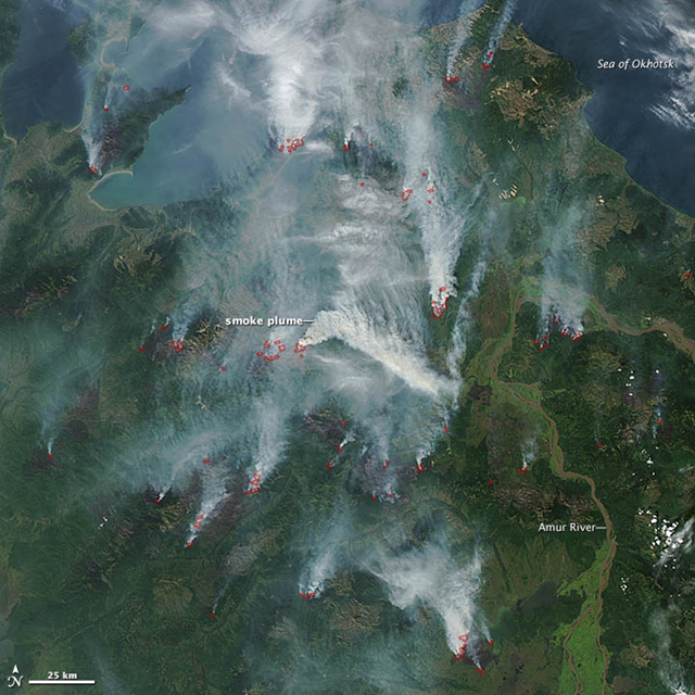 On 28 August 2012, the Moderate Resolution Imaging Spectroradiometer (MODIS) aboard NASA’s Aqua satellite acquired this natural-color satellite image of several wildfires burning in the Khabarovsk region of eastern Russia. Red outlines indicate hot spots where MODIS detected unusually warm surface temperatures associated with fires. Large fires have burned across Siberia throughout the summer. NASA image courtesy Jeff Schmaltz, LANCE MODIS Rapid Response