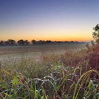 Field north of EcoHouse 8oct2010.jpg