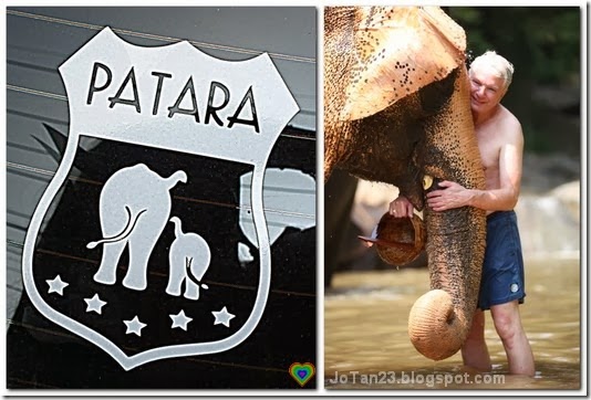 things-to-do-in-chiang-mai-patara-elephant-farm-jotan23