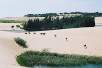 11b000034.jpg