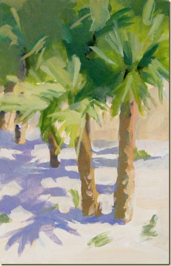 palm shadows (2) (432x640)