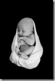 newborn-baby-swaddled-blanket-sleeping-soun-13703004
