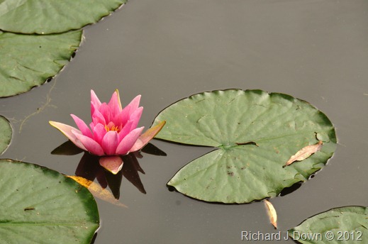 DSC_0864_web DSC_0864_web