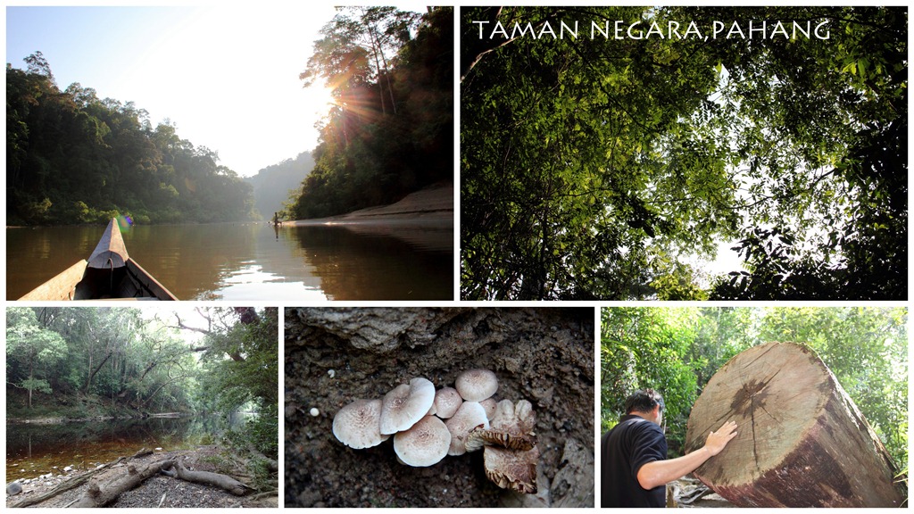 [taman%2520negara2%255B3%255D.jpg]