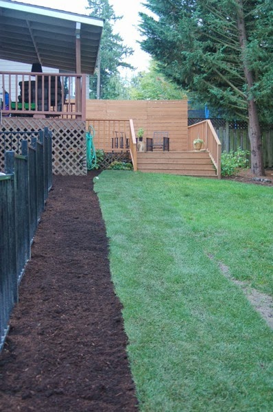 Backyard.JPG Backyard