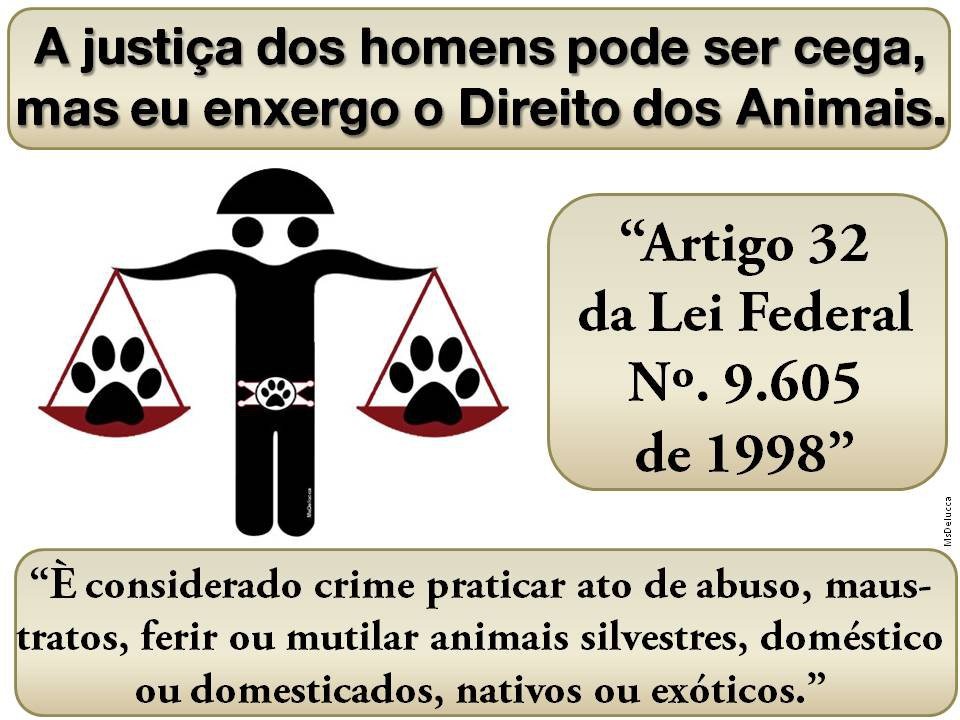 [direito_dos_animais%255B3%255D.jpg]