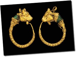 bull earrings