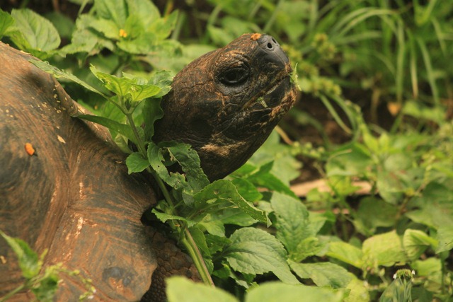 [IMG_0586%255B2%255D.jpg]