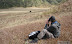 Mount_semeru_21.JPG