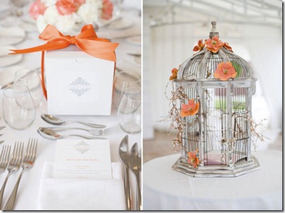 bird-cage_large bird-cage_large
